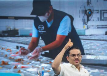 Gerakkan Ekonomi Rakyat, Menteri UMKM Ajak Masyarakat Pahami MBG Lebih Komprehensif*