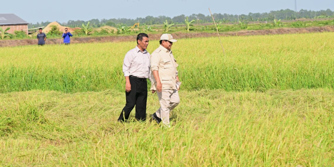 Presiden Prabowo Subianto resmi mengumumkan keberhasilan Indonesia mencapai swasembada pangan nasional tahun 2025.