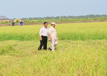 Presiden Prabowo Subianto resmi mengumumkan keberhasilan Indonesia mencapai swasembada pangan nasional tahun 2025.