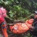Evakuasi Pesawat ATR 42-500 di Tebing Bulusaraung, Tim SAR Harus Terjang Medan Ekstrem