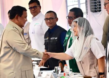 Percepatan Pembangunan Rumah Hunian Danantara Bantu Warga Aceh