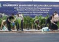 Menteri Imigrasi dan Pemasyarakatan (Kemenimipas), Agus Andrianto, secara simbolis menanam bibit kelapa genjah hibrida dalam peringatan Hari Bakti Imigrasi ke-76 di Tangerang, Banten, Selasa (20/1/2026). (Foto: Dok. Kemenimipas).