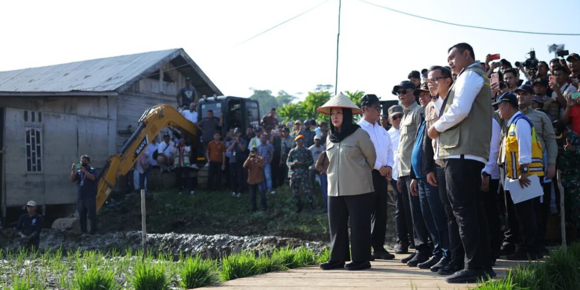 Pemerintah memastikan ketahanan pangan nasional berada dalam kondisi aman dan berkelanjutan. Capaian swasembada pangan Indonesia diperkuat oleh ketersediaan stok beras yang solid, termasuk di Provinsi Aceh yang saat ini memiliki cadangan cukup untuk memenuhi kebutuhan masyarakat hingga enam bulan ke depan. (Foto: Dok Kementan)
