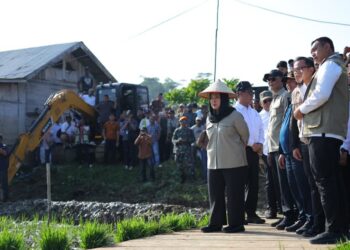 Pemerintah memastikan ketahanan pangan nasional berada dalam kondisi aman dan berkelanjutan. Capaian swasembada pangan Indonesia diperkuat oleh ketersediaan stok beras yang solid, termasuk di Provinsi Aceh yang saat ini memiliki cadangan cukup untuk memenuhi kebutuhan masyarakat hingga enam bulan ke depan. (Foto: Dok Kementan)