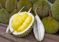 Manfaat Durian bagi Kesehatan dan Efek Samping jika Dikonsumsi Berlebihan 