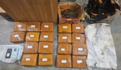 Barang bukti ganja 18 kilogram lebih di sita Ditresnarkoba Polda Metro Jaya. (Humas PMJ)