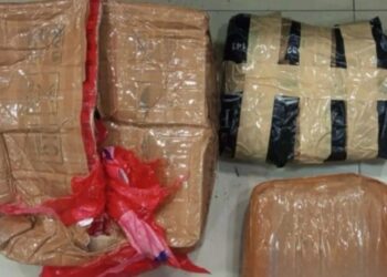 Polisi Tangkap Pelaku Pengedar Ganja 1,3 Kilogram di Rawalumbu Bekasi