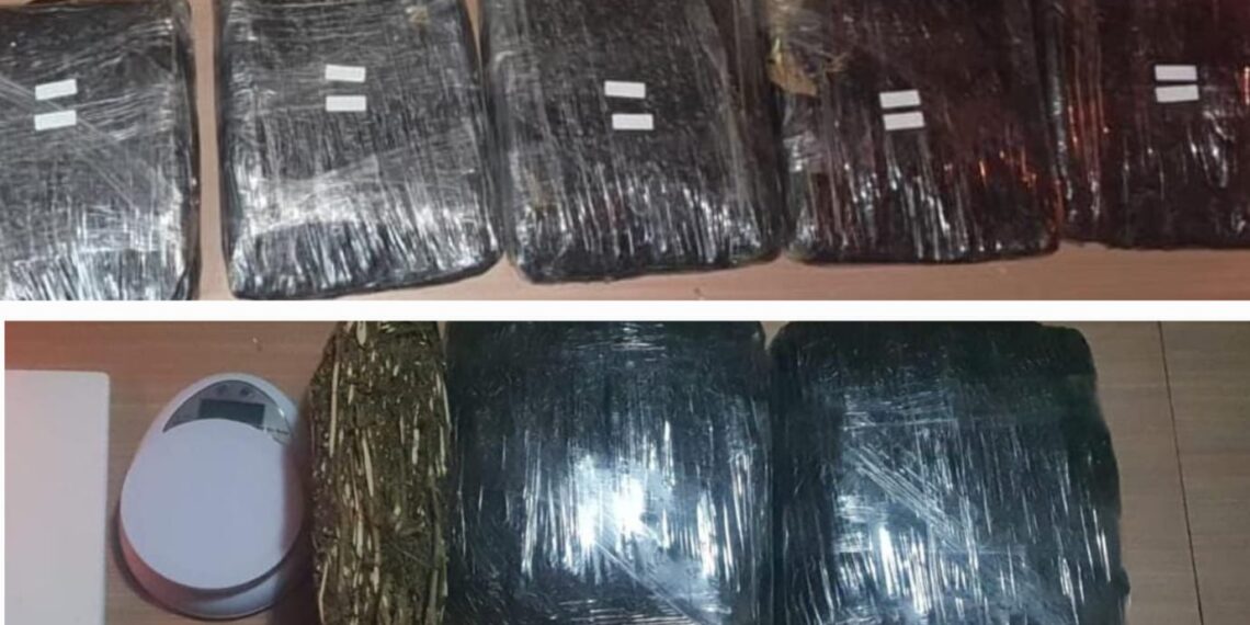 Barang bukti ganja kering seberat 15,507 kilogram hasil sitaan Ditresnarkoba Polda Metro Jaya diperlihatkan usai penangkapan tiga tersangka di kawasan Tanah Abang dan Pamulang, Sabtu (14/2/2026).