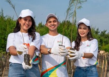 BNI Percepat Program Regenerasi Hutan Mangrove Teluk Pangpang Banyuwangi. Sumber dok bri.co.id