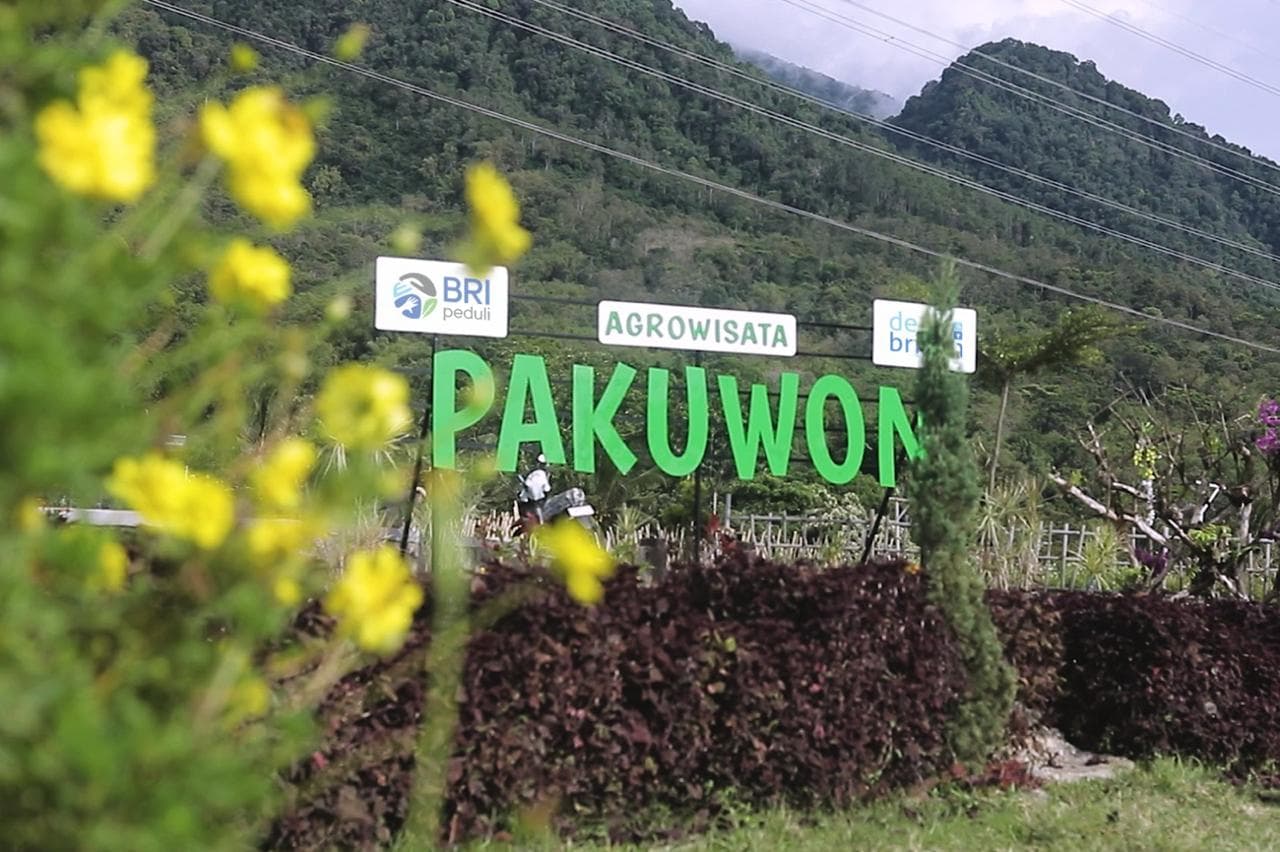 Program Desa BRILiaN Pajambon Dorong Ekonomi Pajambon. Sumber dok www.bri.co.id